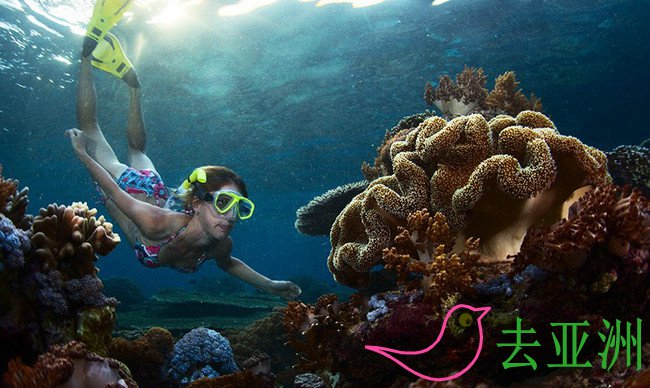 英国潜水杂志将印尼评为2017年全球最佳潜水胜地