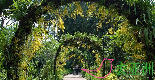 新加坡植物园攻略：怎么去，门票、地图、开放