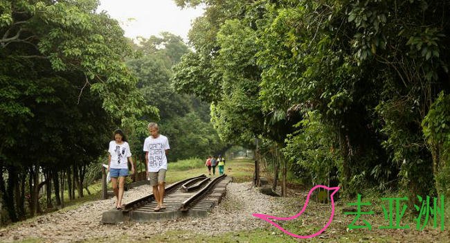 新加坡国家公园局明年底推出越岛连道，铁道走廊访客休闲的去处