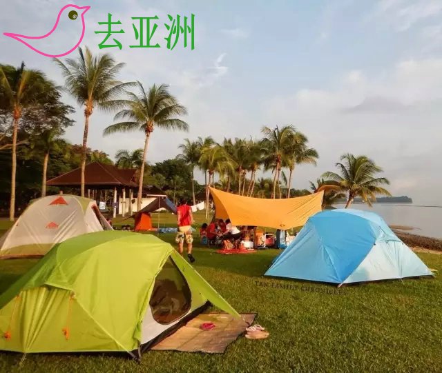 新加坡露营+烧烤全攻略：露营许可证，露营活动