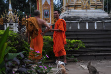 隆寺Wat Luang