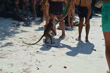 猴子海滩Monkey Beach
