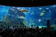 曼谷水族馆Bangkok Aquarium
