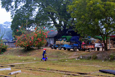 昔卜-彬乌伦段火车The Railway line between Pyin U Lwin