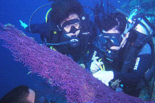 水肺潜水Scuba Diving