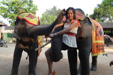 芭堤雅大象村Pattaya Elephant Village